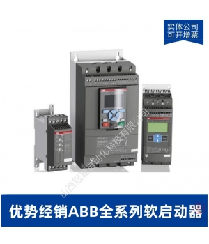 PSS250/430-500L-ABBͨ