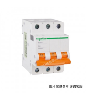 schneider ʩ͵΢Ͷ·A9F38240 ic65L C40 2P
