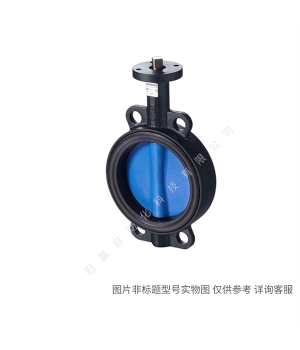 Siemens/¥Զ VVF63.65-50 