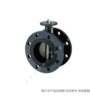 Siemens/¥Զ VXF42.80-100C