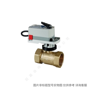 Siemens/¥Զ S55235-V170 VFW41.65U 