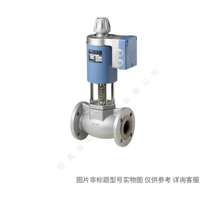 ¥Զ-BPZ:MXG461B32-12\ŵ¹Siemens/ӡ