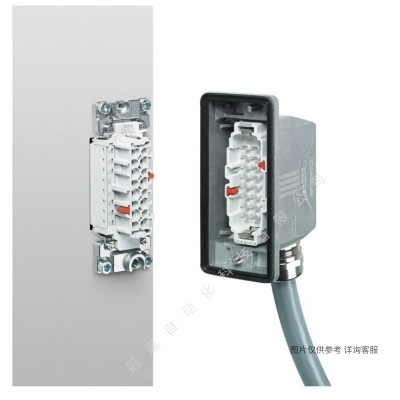 Phoenix˹HC-B_24-FL-DI-N-1411465